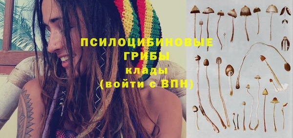 СК Михайловск