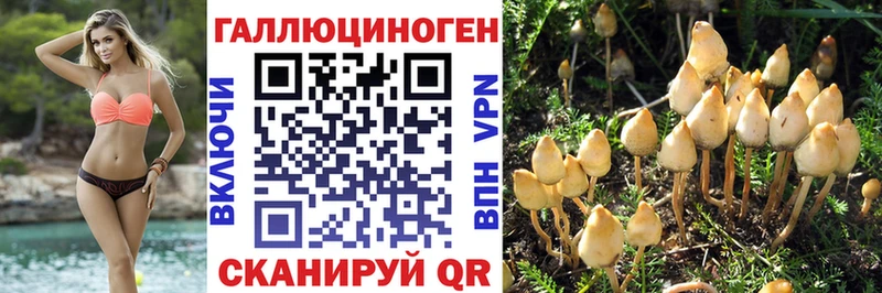 Галлюциногенные грибы MAGIC MUSHROOMS  Азов 