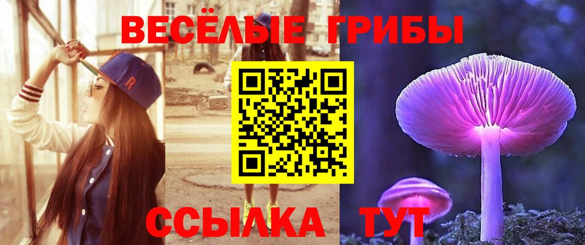 Галлюциногенные грибы GOLDEN TEACHER Азов