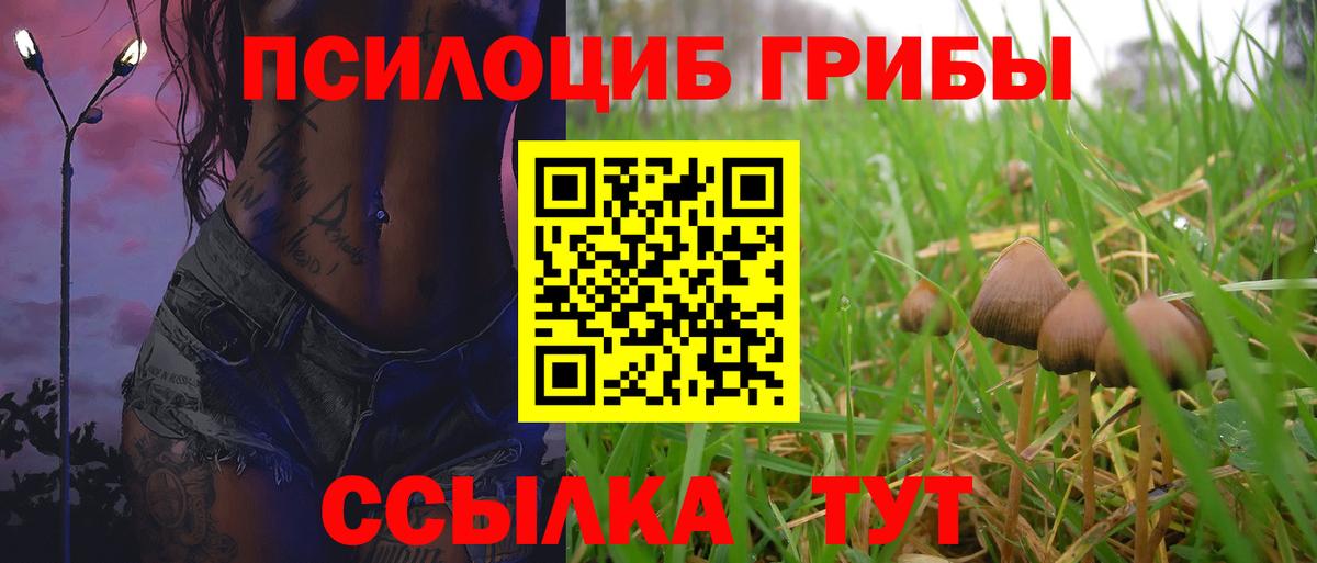 Псилоцибиновые грибы Psilocybine cubensis  цены   Азов 