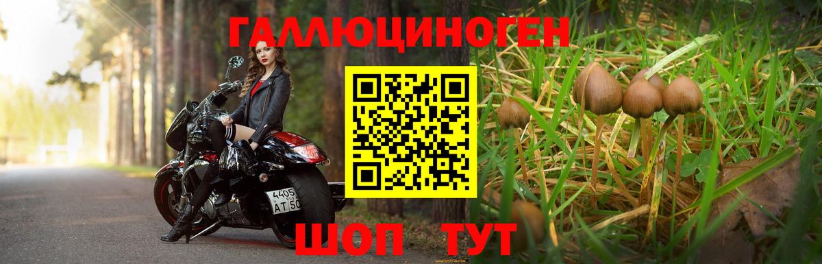 Гашиш  Купить наркотик  NBOMe  Мефедрон кристаллы  Азов  Каннабис  APVP СОЛЬ   Cocaine  АМФЕТАМИН кристаллы 